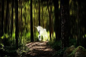 unicorn forest fantasy picture photomontage quienes son los emisarios pleyadianos de la luz i327447