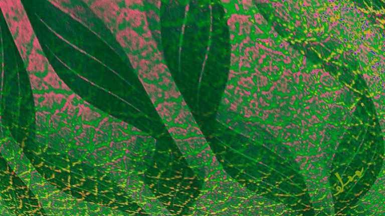 ALIMENTACIÓN ALQUÍMICA – Emisarios de Sirio