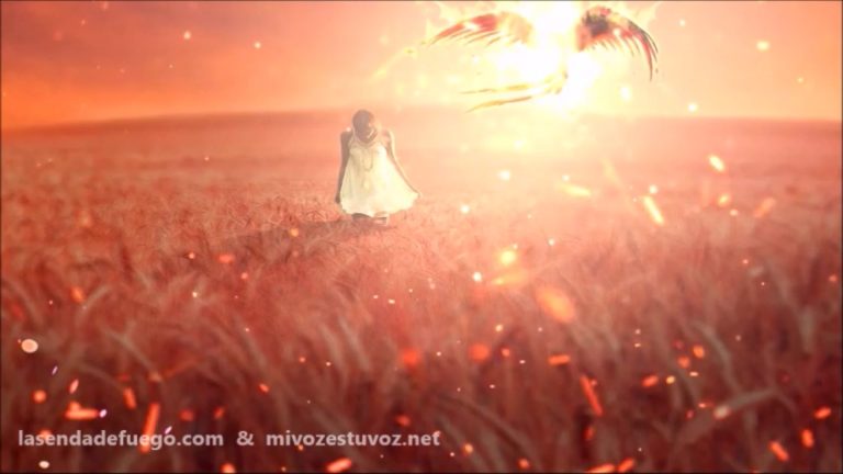 EL CAMINO DE LAS ESTRELLAS – Ep. 9: "Héroe de corazón"