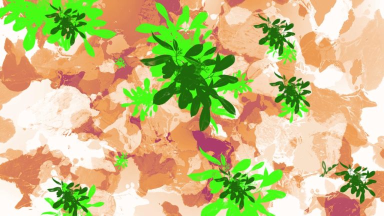 ENTRÉGATE A LA NATURALEZA – La Tierra a través de Pamela Kribbe