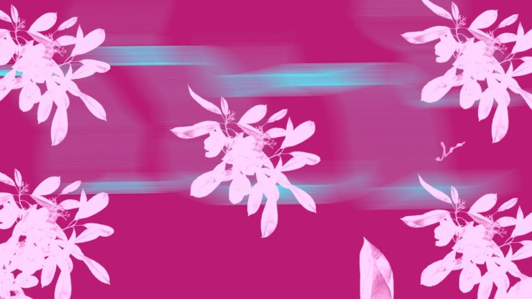 LA MUJER DEL NUEVO MILENIO – Hernán Huarache Mamani