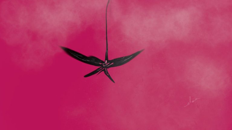 NOS SUBVALORAN – Atribuido a Alejandro Jodorowsky