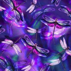 Ascensión de la libélula |  Maestro Kuthumi a través de Natalie Glasson