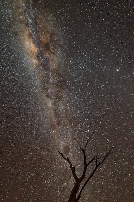 auto generated featured image