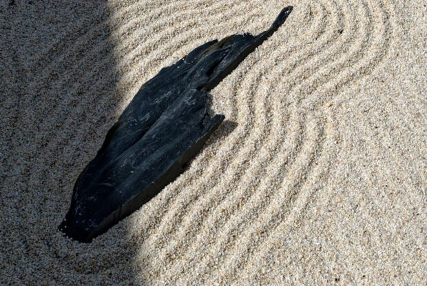 la importancia de la meditacion gayatri por parvathi kumar featured